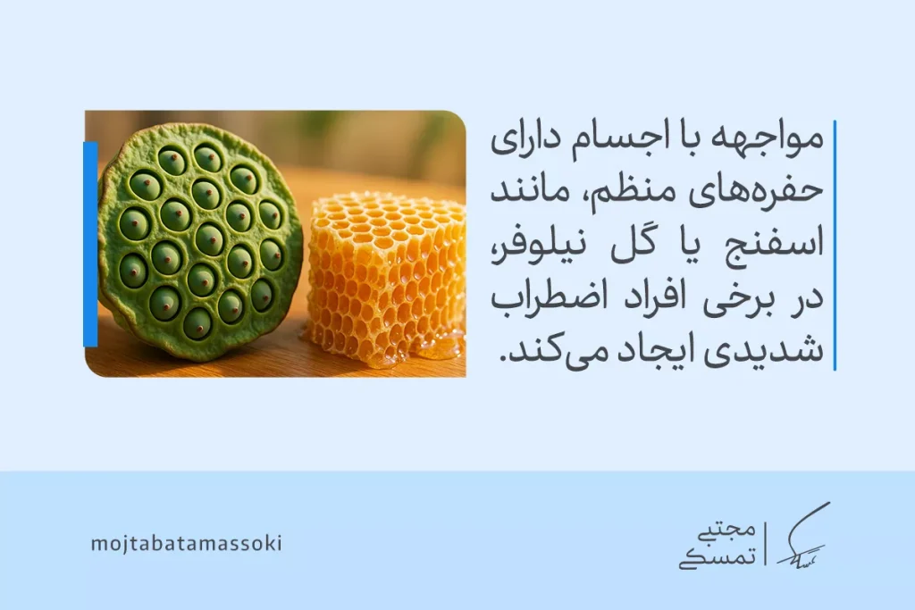 ترایپوفوبیا یا ترس از حفره چیست؟ + علائم و روشهای درمان علمی 4 تصویر گل نیلوفر و موم زنبور با حفرههای منظم، احساس ترس از حفرههای ریز و اضطراب در برخی بینندگان ایجاد میکند.