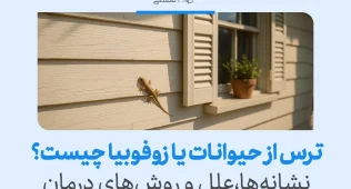 مارمولکی بر روی دیوار کنار پنجره دیده می‌شود و مفهوم واکنش طبیعی یا افراطی انسان در مواجهه با ترس از حیوانات را نشان می‌دهد.