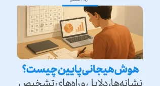 تصویری از فردی در حال برنامه‌ریزی پشت لپ‌تاپ که موضوع نشانه‌ها، دلایل و راه‌های تشخیص هوش هیجانی پایین را بررسی می‌کند.