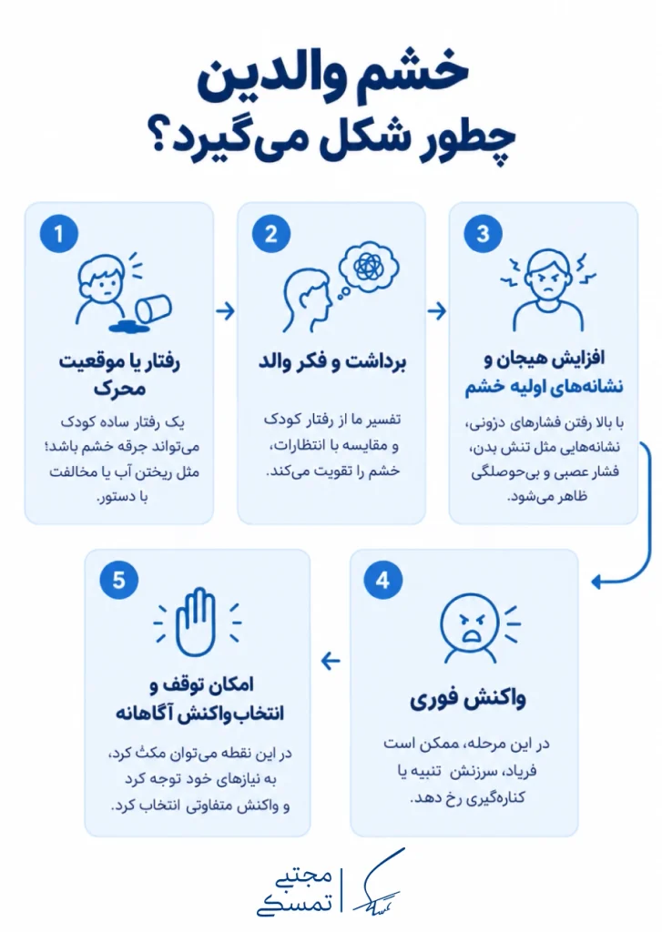 چرخه شکلگیری خشم والدین از موقعیت محرک تا انتخاب واکنش آگاهانه