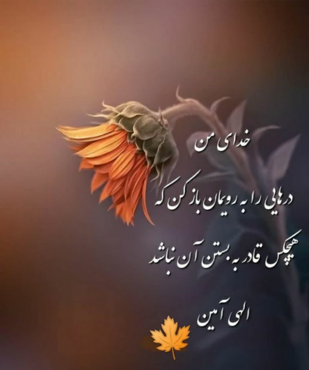 صدیقه رضایی